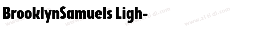 BrooklynSamuels Ligh字体转换 BrooklynSamuels Ligh字体转换